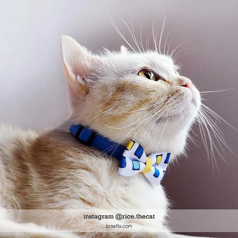 Bowtix Handmade Cat Collar With Removable Bowtie - Gem Blocks