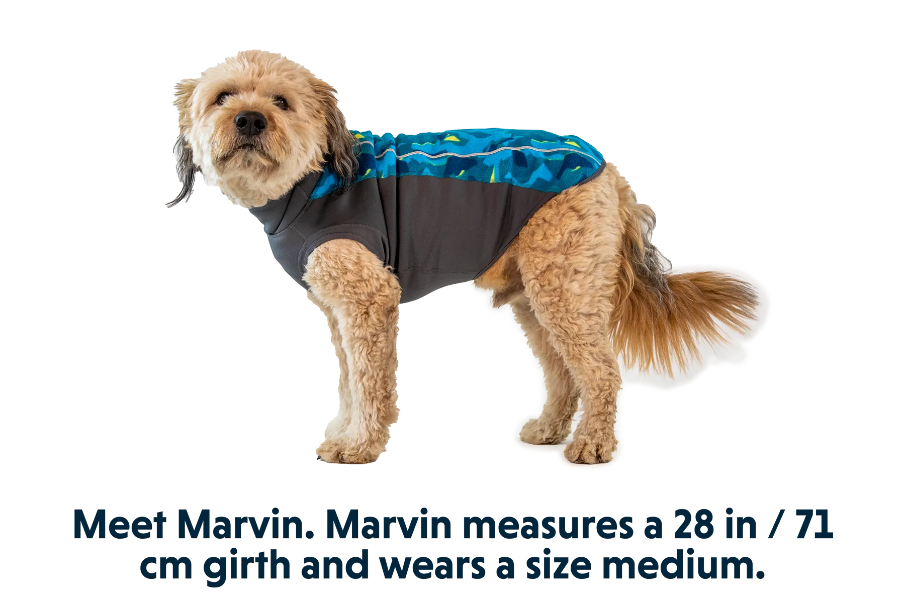 Climate Changer™ Dog Fleece Pullover