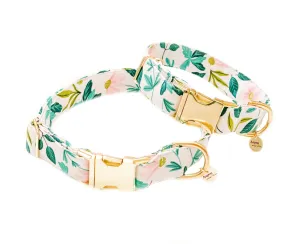 Dog Collar- Daisy Days Collar