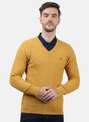 Men Yellow Self Pullover