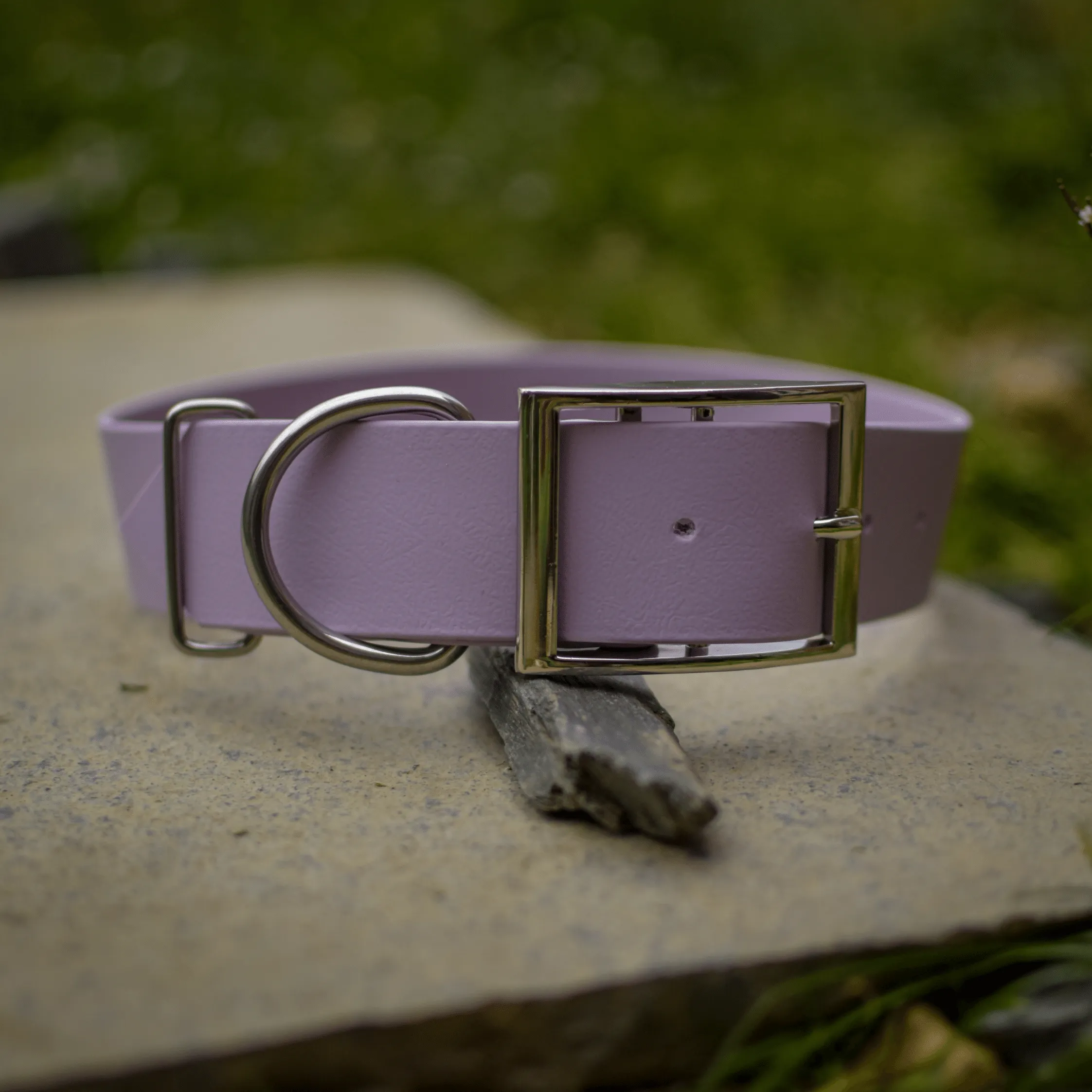 Mystery Biothane Collars | Signature & Classic Collars