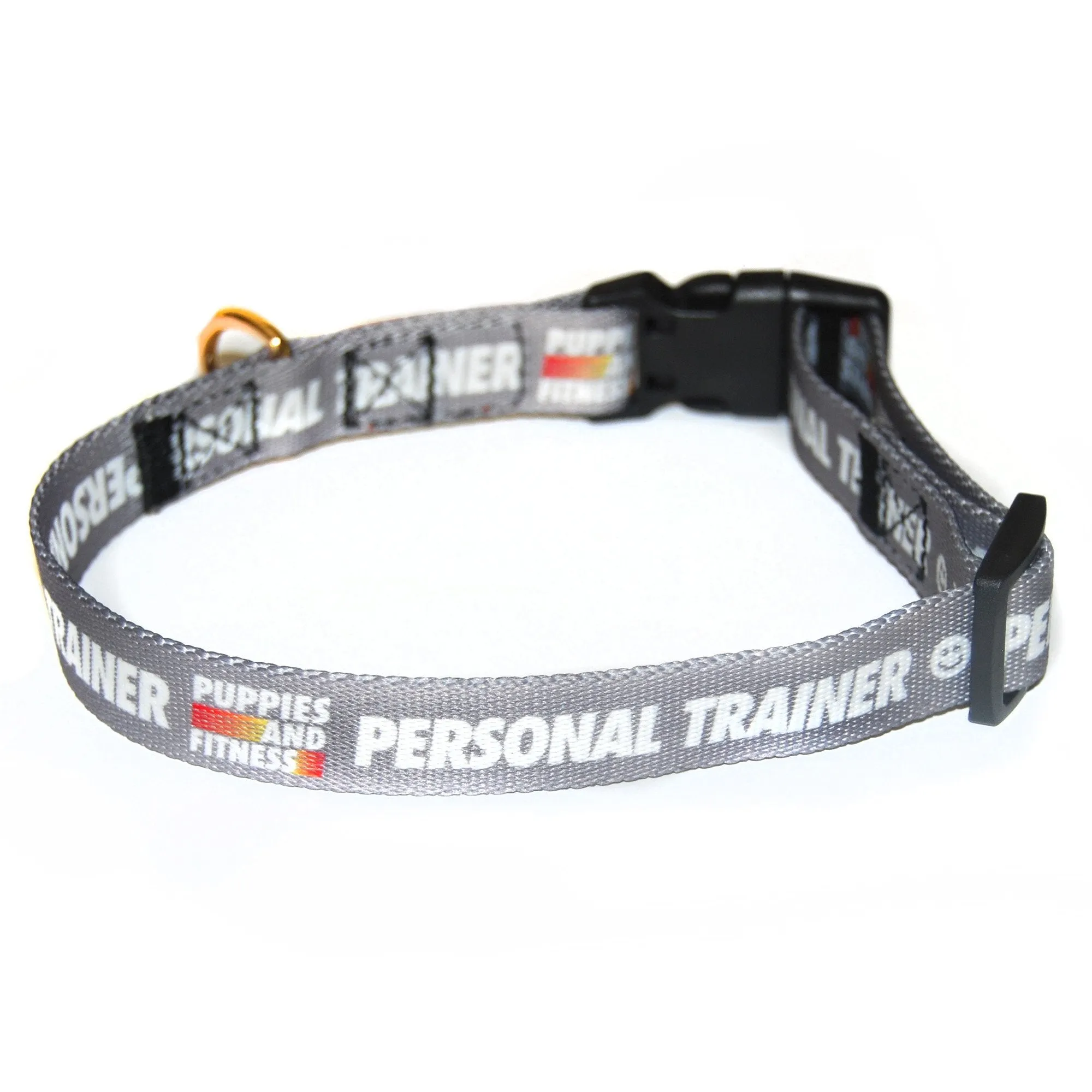 Personal Trainer | Dog Collar