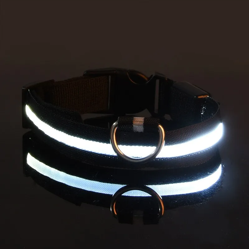 Rechargable Dog LED Flashing Collar