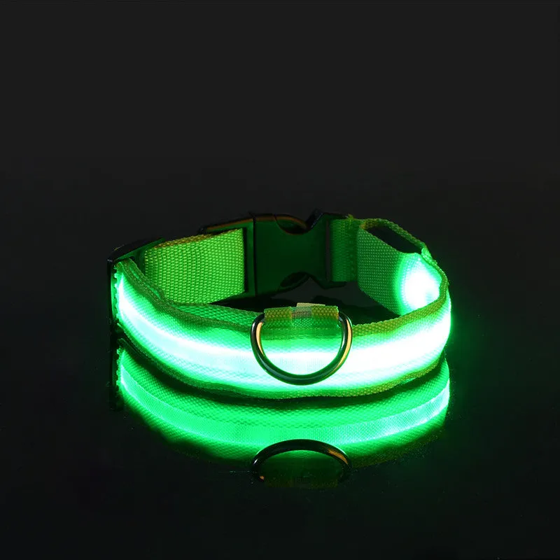 Rechargable Dog LED Flashing Collar