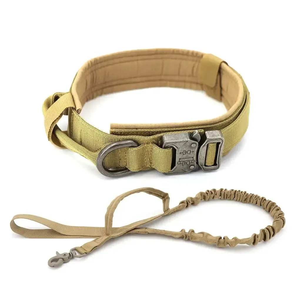 Spoil your furry friend with our high-quality Dog Collar