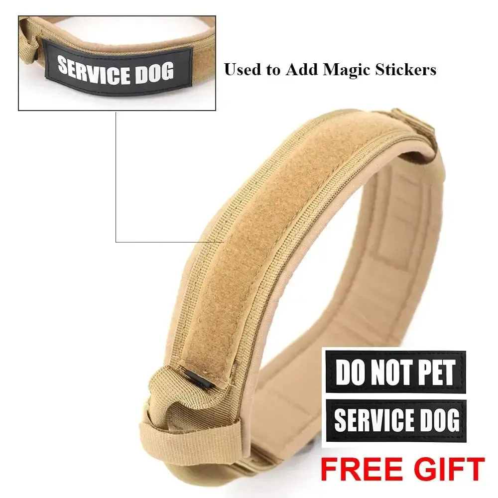 Spoil your furry friend with our high-quality Dog Collar