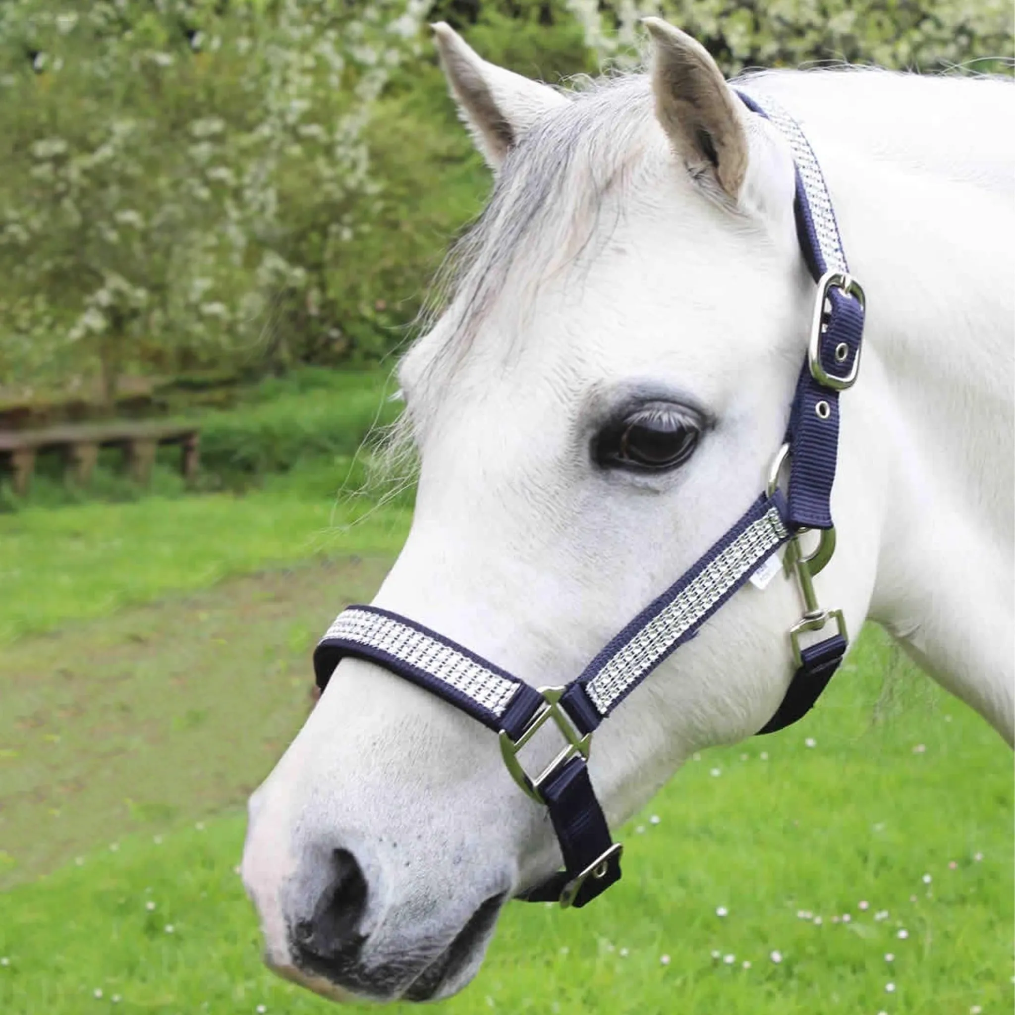 The Gallop Diamante Padded Headcollar