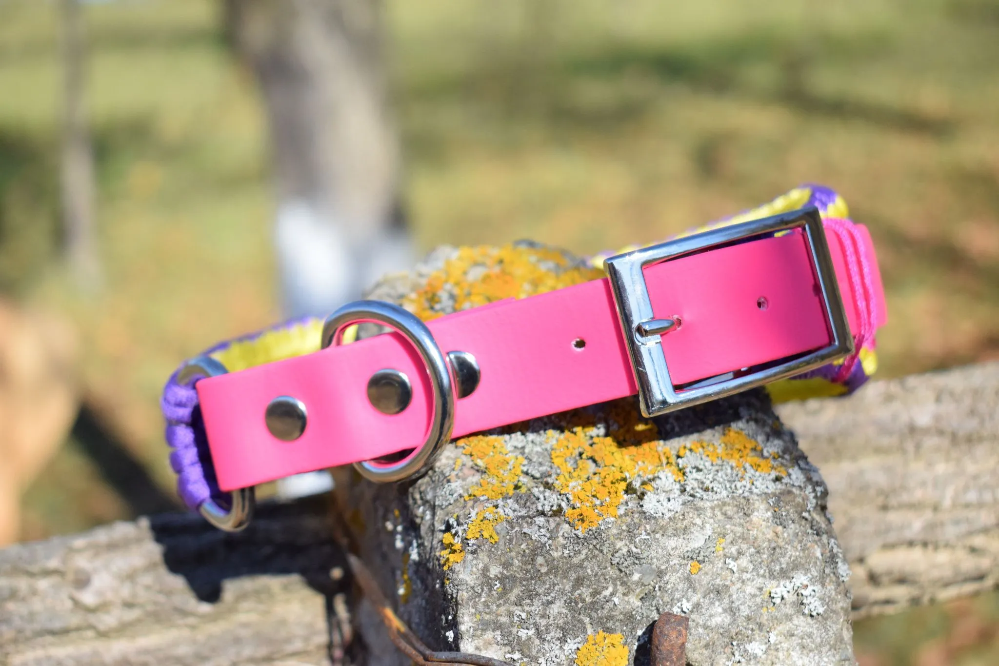 Zig-Zag madness Dog Collar