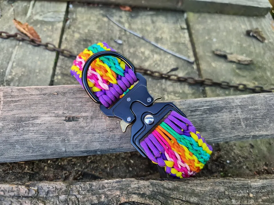 Zig-Zag madness Dog Collar